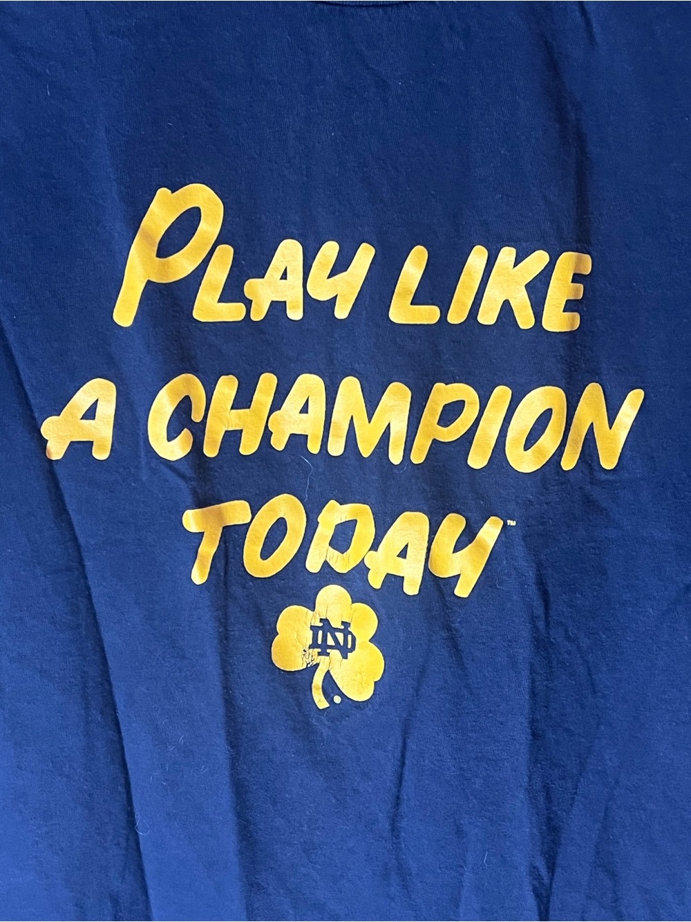 Notre Dame Play Like a Champion Today T Shirt Blue Men's Size L Champion Brand